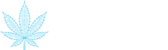 dopetech.ai