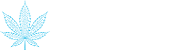 Dope Technologies Logo